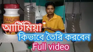 How to Hatch Brine Shrimp Eggs | আটীমীয়া কি ভাবে তৈরি  করবেন । #Adwitiya fishfarm ।