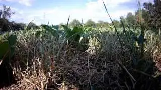 Prova Eyecam Up 1080 60 fps