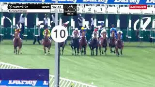 2019 Darley Sprint Classic - Nature Strip