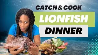 Shore Diving at Pompano Beach for Lionfish: The Perfect Trip