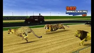 Wild Animals Racing 3D - Android Gameplay #1 | DishoomGameplay