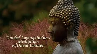 Guided Metta Meditation -From Self to All Beings in All World Systems!