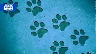 Horry County Animal Care Center increasing pet reclaim fees