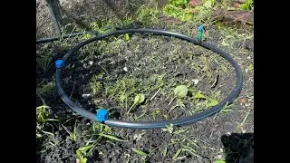 Durian Musang King Drip Irrigation Installation System