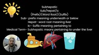 Exploring Medical Language The Basics