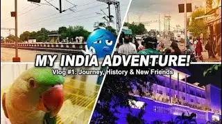 New vlog | katra and bahu fort 🧐 Crazy pets tube 
