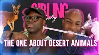 Sibling Rivalry: The One About Desert Animals
