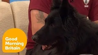 Should Police Dogs Have the Same Rights As Officers? | Good Morning Britain