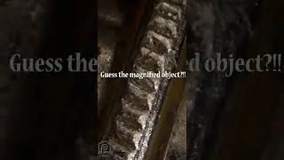 close up objects quiz#shorts  macro funy short  video