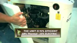 GREEN LEAF INN NATURAL GAS COGENERATION SYSTEM