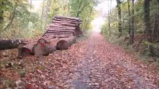 Wanderung ab Nörten - Hardenberg nach Bishausen im Landkreis Northeim