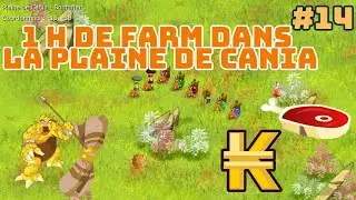 #14 COMMENT FARM LES KAMAS SUR DOFUS RETRO EN 2024? PLAINE DE CANIA - KANIGROU ET CHASSEUR