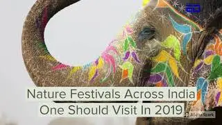 Nature Festivals Across India One Should Visit in 2019