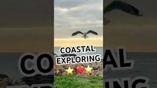 Coastal explorations in the Overberg region, Western Cape, South Africa #coastal #waves