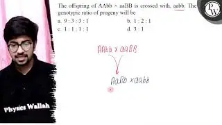 The offspring of AAbb \( \times \) aaBB is crossed with, aabb. The ...