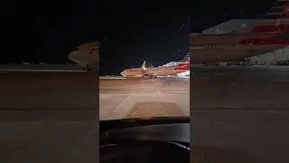 Planes always have the right of way!