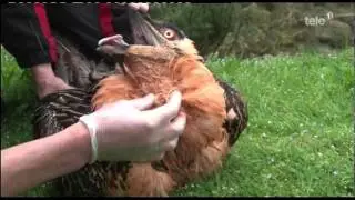 Tierpark Goldau