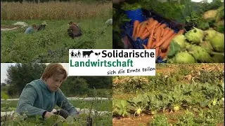 Zwei Beispiele für Solidarische Landwirtschaft