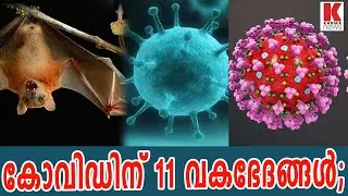 വൈറസിന് 11 വകഭേദങ്ങള്&zwj;;ഏറ്റവും കരുത്തനാണ് പടര്&zwj;ന്നത്| karma news