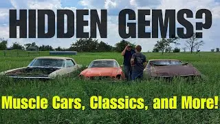 MASSIVE Old Car and Truck Haul Full of Field Finds from a South Dakota Homestead
