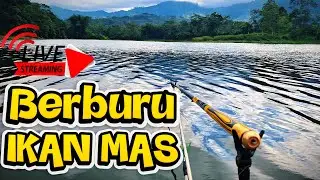Berburu Jackpot Di Spot Sepi / Mancing Liar Waduk Selorejo Ngantang  #wongdampul