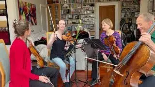 New Zealand String Quartet - Beethoven Kwartetten