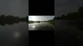 Такая вот рыбалочка.#рыбалка #fishing #fishingmethod #ловлярыбы
