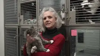 Spay it Forward with Okanagan Humane Society