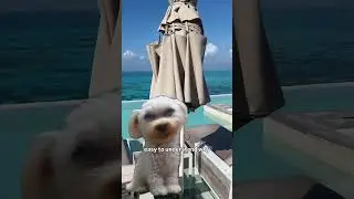 Impression Isla Mujeres Review | Is This the Most Iconic Luxury Resort in the Caribbean?