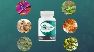 Exipure Reviews 2022 &ndash; Legit Customer Results from Actual Users? 1/1