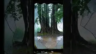 Profound Peace | Heavy Rain on Abandoned House Window for Deep Sleep & Anxiety Relief 🌧️