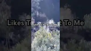 FishingQuotes