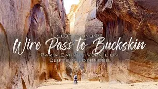 Solo Day Hike Wire Pass Buckskin Gulch Paria Canyon Vermilion Cliffs Wilderness, Slot Antelope  - 4K