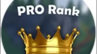 I bought the pro rank in Roblox islands