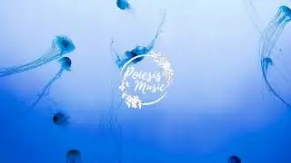 Monophobe - Swimming