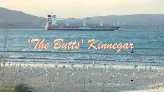 WILD BIRDS: 'The Butts', Kinnegar, Belfast Lough - (N Irish Coastal Wildlife Scenery)