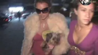 Britney Spears  shows off  her new dog