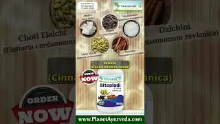 Sitopladi Churna Safe Ayurvedic Herbal Cough Medicine - Avoid Alcohol Based Cough Syrups #wintercare