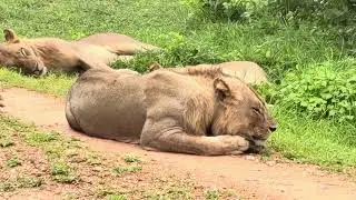 TRIP TO SOUTH LUANGWA NATIONAL PARK AND MALAWI