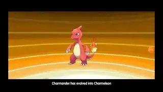 Megamon league how to evolve Pokemon and upgrade