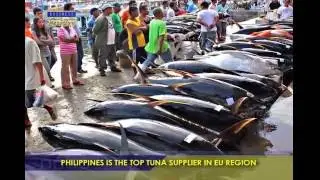 Philippines Is The Top Tuna Supplier In EU Region  - Bizwatch