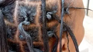 Tried Natural Locs On My Sister For The First Time.Rate my work