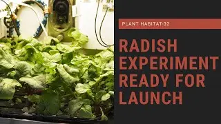 Plant Habitat-02