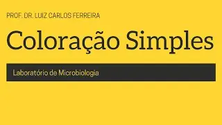 Coloração Simples