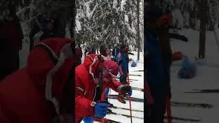 Честный лыжный марафон друзей