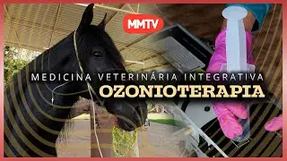 INTEGRATIVE VETERINARY MEDICINE - OZONE THERAPY