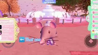 How to be headless in royale high inspired by @Owl Speaks Less