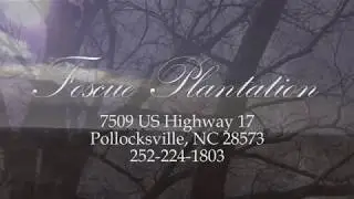 Foscue Plantation  Pollocksville North Carolina by Drone DJI