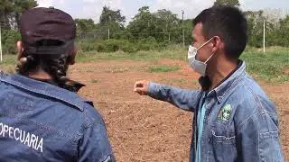 SISTEMAS AGROFORESTALES