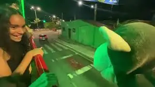ENCONTRO DE GIGANTES NA ARVORE DE MIRASSOL